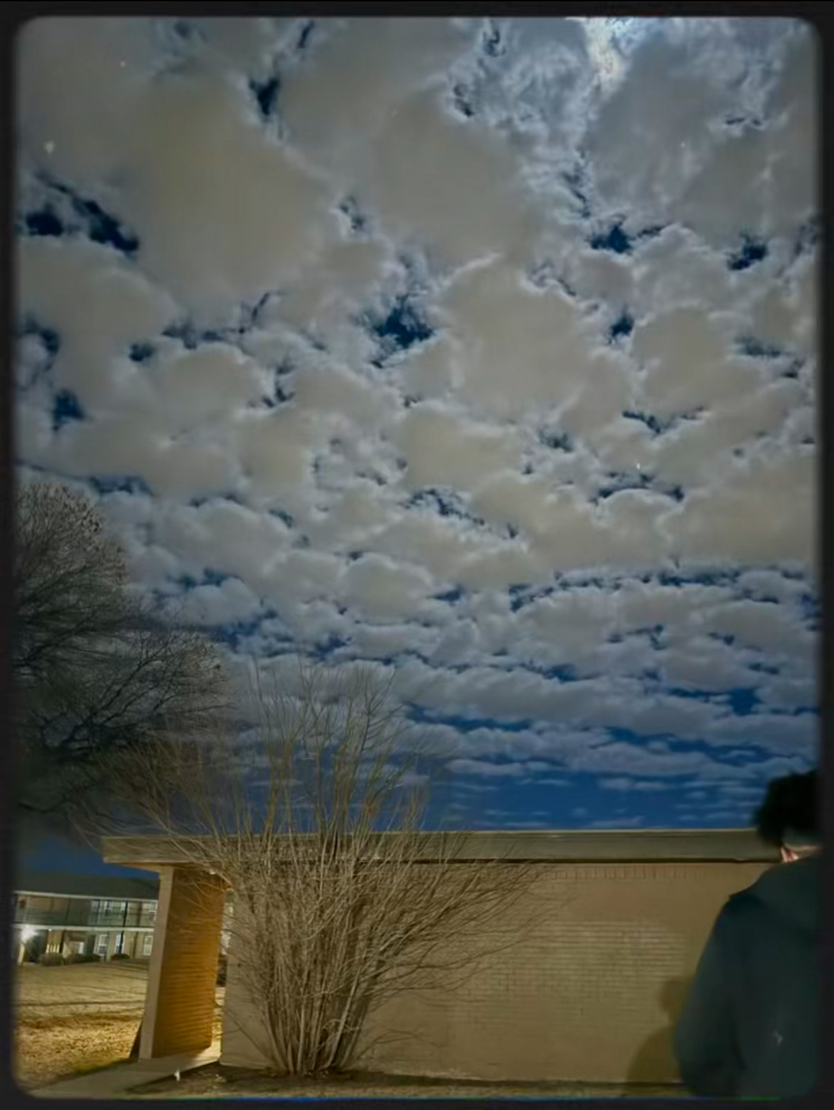 Patience Cover
